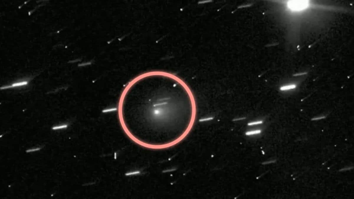 SCI_2_Full_1753283494024.jpg