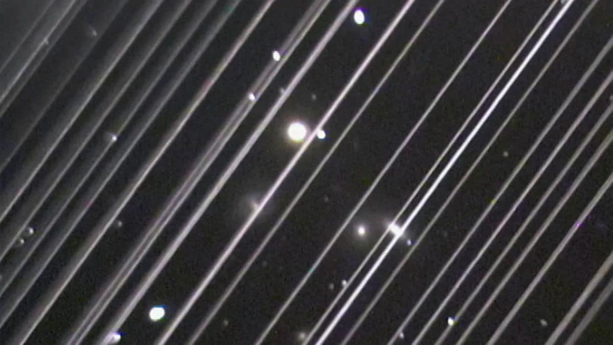 SCI_3__Full_1753839570841.jpg