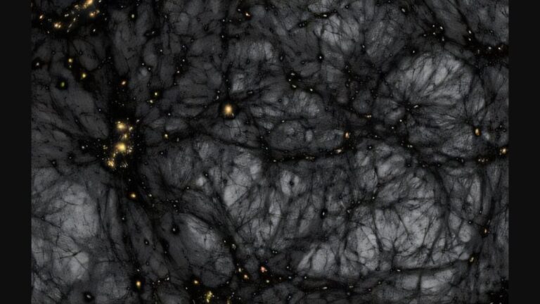 SCI_4_Full_1753978039827.jpg