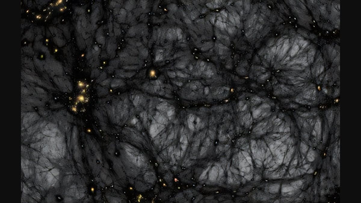SCI_4_Full_1753978039827.jpg