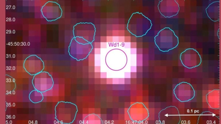 SCI_5_Full_1753963062543.jpg